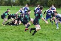 Monaghan 1st XV V. Newry - October 26th 2013 (14)